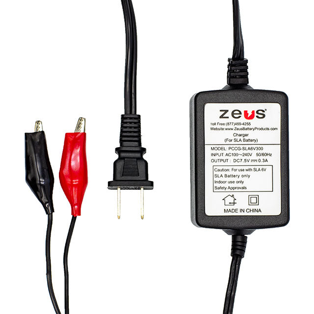 PCCG-SLA 6V300 Zeus Charger